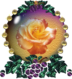 globe rose orange et brillants